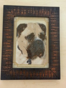 Portrait Stitch of Otis